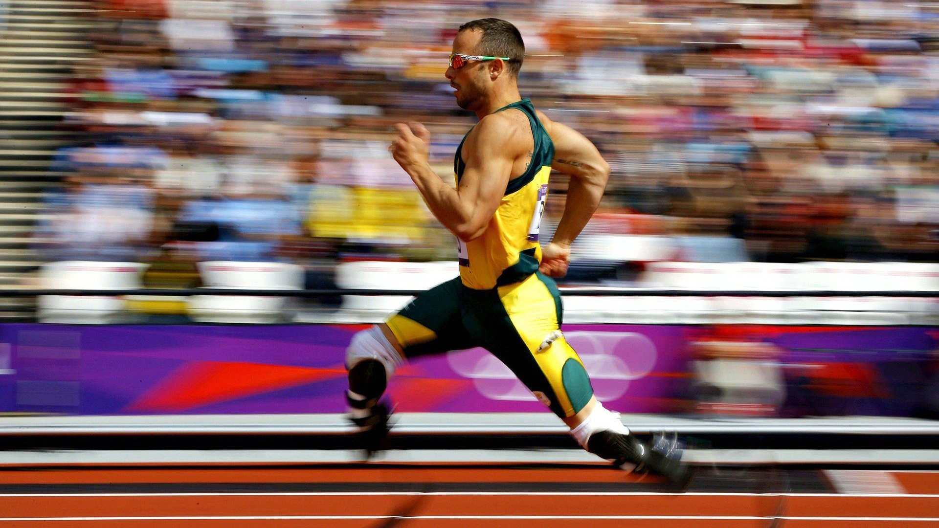 kaiyun.com-“智慧场馆：全场监测、沉浸体验和智能交互体系成为行业新宠”